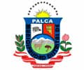 MUNICIPALIDAD DE PALCA - TACNA